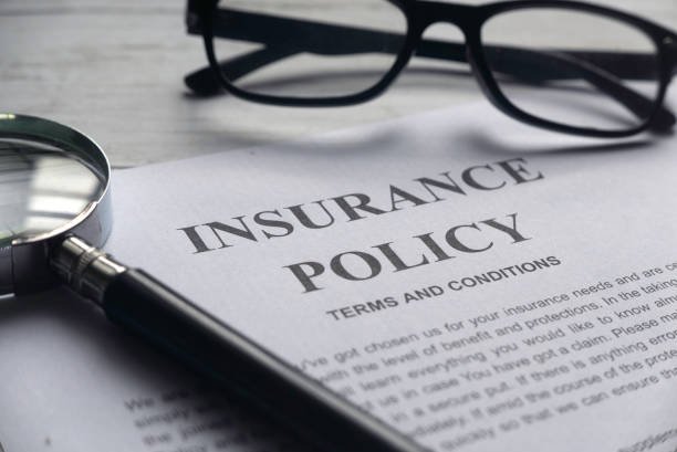 istockphoto-1295819436-612x612
